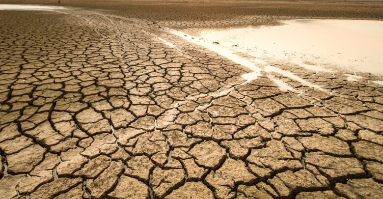 تعهدات بـ2,4 مليار دولار لدرء المجاعة عن القرن الإفريقي